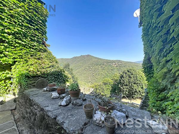 Mas cévenol de caractère avec 22 hectares, pierre sèche et vues panoramiques ? Saint Germain de Calberte