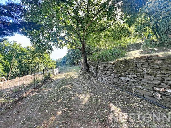 Mas cévenol de caractère avec 22 hectares, pierre sèche et vues panoramiques ? Saint Germain de Calberte