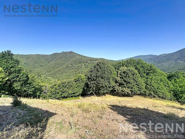 Mas cévenol de caractère avec 22 hectares, pierre sèche et vues panoramiques ? Saint Germain de Calberte