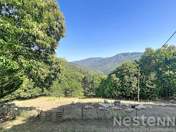 Mas cévenol de caractère avec 22 hectares, pierre sèche et vues panoramiques ? Saint Germain de Calberte