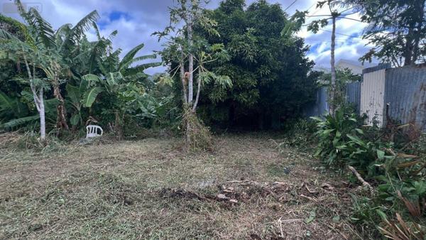 Maison à vendre à Sainte-Clotilde à la Réunion (97490), ref : 97405/198   
le moufia