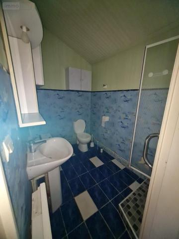 Maison à vendre à Château-Renault dans l'Indre-et-Loire (37110), ref : 41059-875