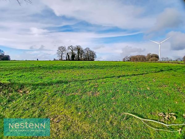 Terrain viabilisé Plemet 905 m2