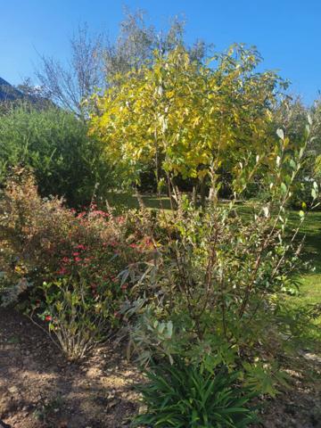 A VENDRE à SAINT-AVERTIN : Maison spacieuse 5 chambres sur parcelle de 800m²