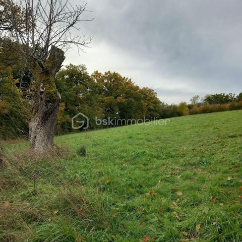 Charmante maison en pierre de 76m² dans environnement calme et verdoyant, dotée d'une jolie terrasse ensoleillée donnant sur le jardin , cave , dépendance 56m² style chalet bois avec baie vitrée et petite terrasse, idéal atelier + partie rangement et carport.
 Terrain en deux parties mais attenantes , un jardin arboré muni d'un puit , et un grand terrain de 5000m² juste au dessus en pré, orné de haies.
Côté maison vous trouverez une entrée ouverte sur une agréable pièce à vivre avec poêle à bois , une cuisine lumineuse avec cheminée le tout avec le charme et l'authenticité de l'ancien.
Au premier étage, un palier dessert une salle de bain avec baignoire , douche , double vasque ,WC puis, une chambre avec deux fenêtres donnant sur le jardin ainsi qu'un spacieux coin rangement avec fenêtre.
Au second un palier avec grand velux + deux petites pièces qui sont utilisées en chambres toutes deux avec velux et petites fenêtres , on peut, si on le souhaite en faire une grande chambre très lumineuse.
Les velux sont équipés de stores électriques.
Pour résumé, une maison idéale pour ceux qui recherchent , une vie paisible à la campagne tout en ayant les petits commerces à proximité.