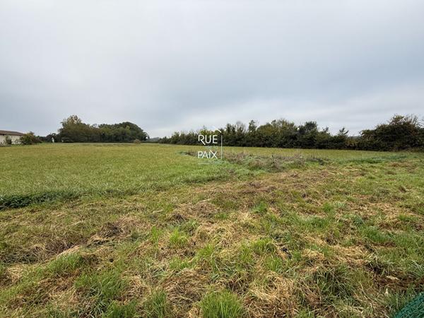 86230 SERIGNY Maison Serigny 2 pièce(s) 81.48 m2