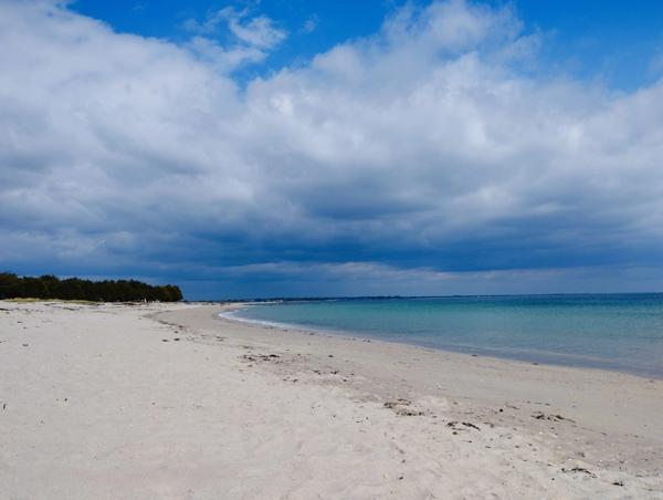 Maison à vendre 5 pièces COMBRIT (29)