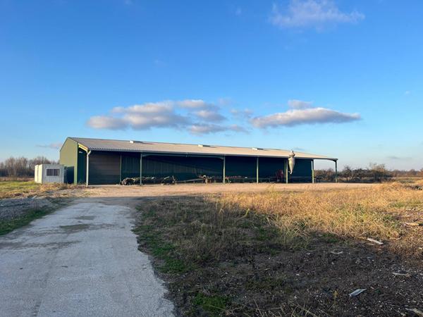 Entrepôt de plus de 900m² sur une terrain de plus de 5000m² à Villaudric !