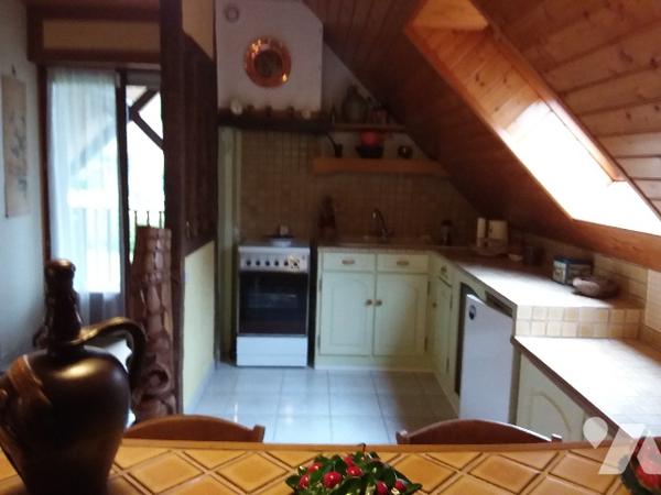 GRAND PAVILLON DE CONSTRUCTION ARTISANALE PROCHE ZOO DE BEAUVAL