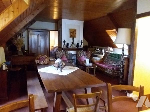 GRAND PAVILLON DE CONSTRUCTION ARTISANALE PROCHE ZOO DE BEAUVAL