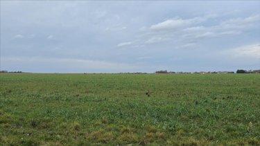 Bien agricole à vendre à Neuvy-Pailloux dans l'Indre (36100), ref : 021/1568