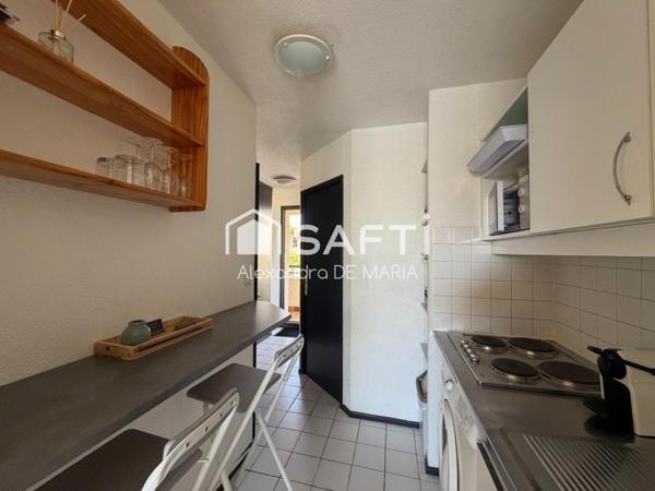 APPARTEMENT 1 CHAMBRE AVEC  TERRASSE VUE ETANG
