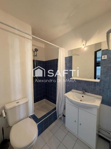 APPARTEMENT 1 CHAMBRE AVEC  TERRASSE VUE ETANG