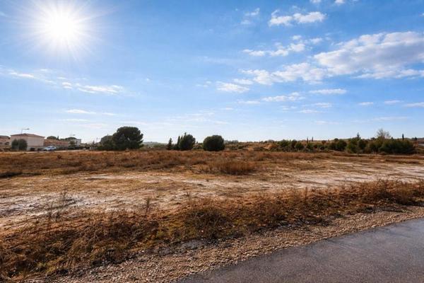 Terrain à vendre |  Saint-Aunès |  14645 m²