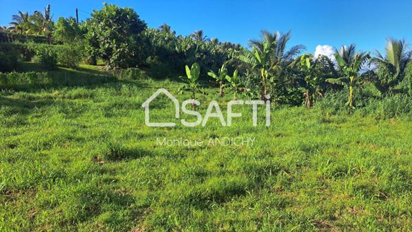 Terrain sur quartier calme