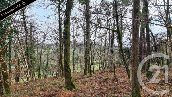 Terrain à vendre  10951 m2 SARLAT LA CANEDA - 24