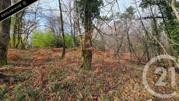 Terrain à vendre  10951 m2 SARLAT LA CANEDA - 24