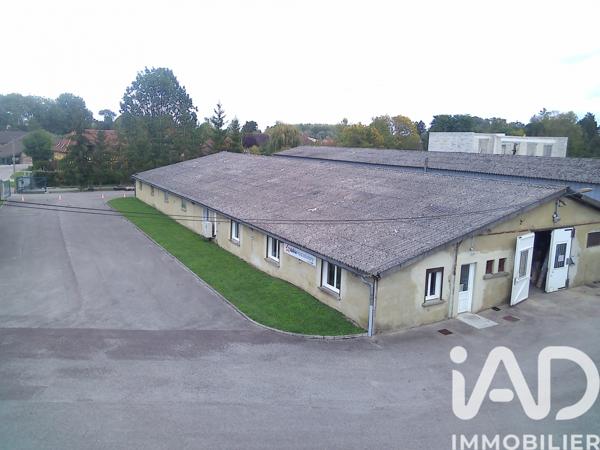 Immeuble à vendre 1 000 m² Ruvigny