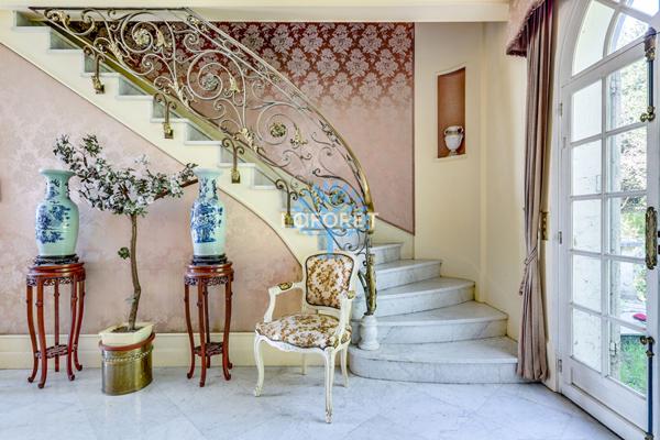 Achat maison Nogent-sur-Marne - 11 pièce(s) - 325 m² - 1 950 000 €