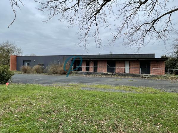 Bâtiment 11 pièces 350 m²