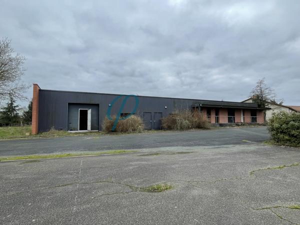 Bâtiment 11 pièces 350 m²