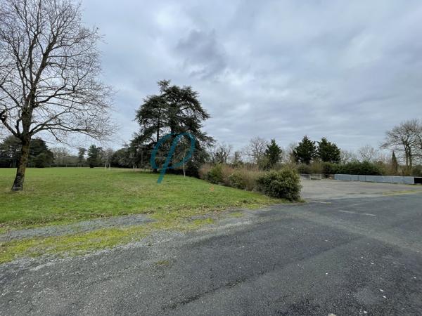 Bâtiment 11 pièces 350 m²