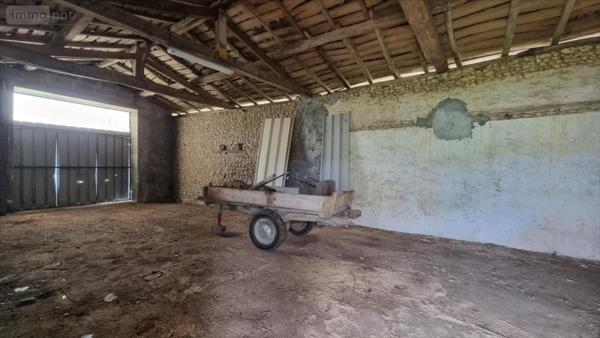 Maison à restaurer à vendre à Jonzac en Charente-Maritime (17500), ref : 1845