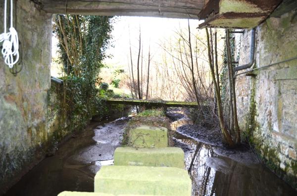 Maison à vendre 6 pièces GIZIA (39)