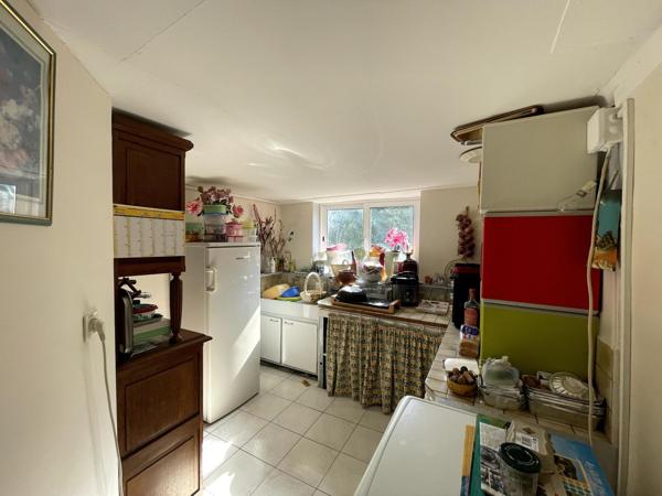 Maison en pierre, jardin arboré et clos