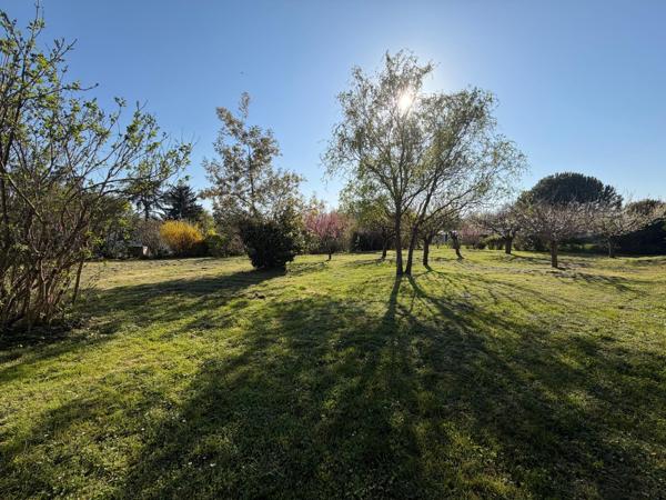 Maison en pierre, jardin arboré et clos