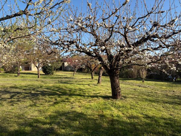 Maison en pierre, jardin arboré et clos