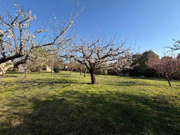 Maison en pierre, jardin arboré et clos