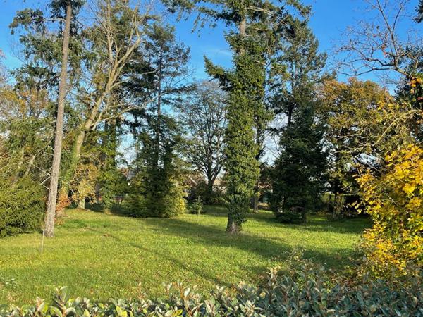 Terrain Solterre 1023 m2