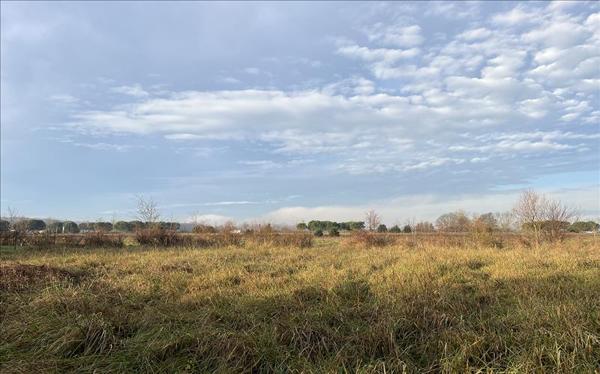 Terrain à vendre |  Saint-Sulpice-la-Pointe |  552 m²