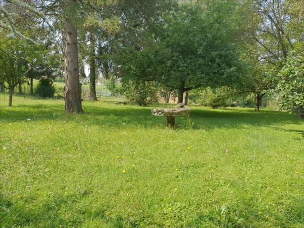 Maison individuelle à vendre à Saint-Martin-d'Ablois dans la Marne (51530), ref : 51025-1058443