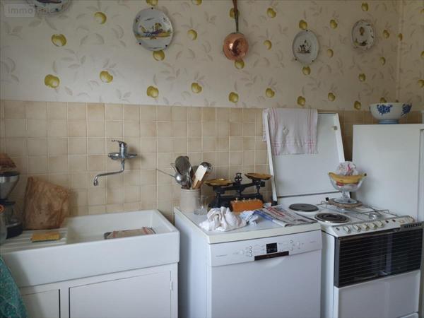 Maison individuelle à vendre à Saint-Martin-d'Ablois dans la Marne (51530), ref : 51025-1058443