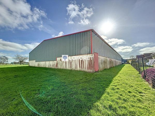 Location local commercial près de TERRES DE CAUX - 1 pièce(s) - 720 m² - 3 700 €/mois