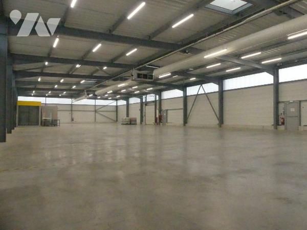 Immobilier Professionnel à vendre Allaire