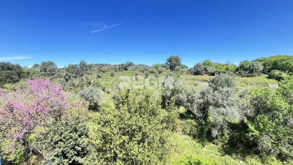 Pignan (34570) Maison contemporaine d’exception 246 m2