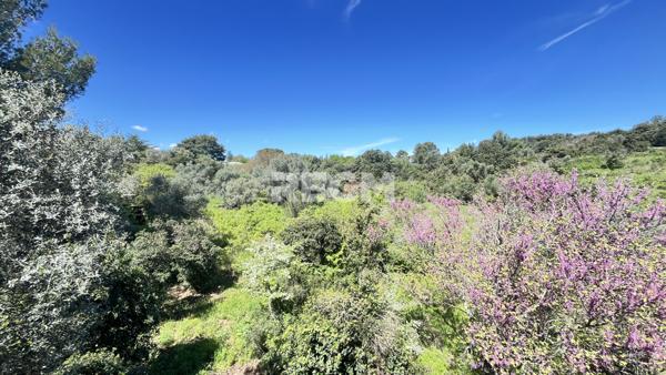 Pignan (34570) Maison contemporaine d’exception 246 m2