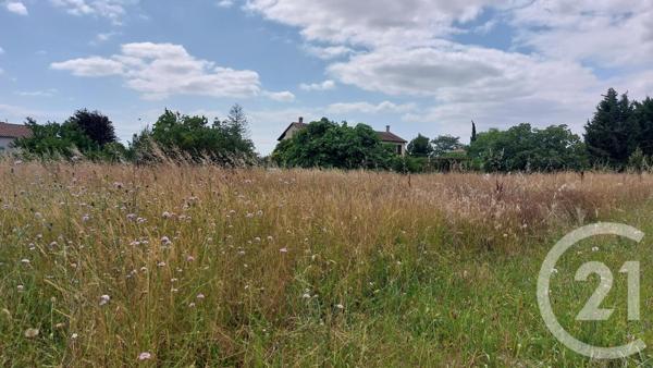 Terrain à vendre  631 m2 MALVIES - 11