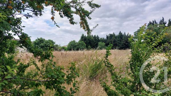 Terrain à vendre  631 m2 MALVIES - 11