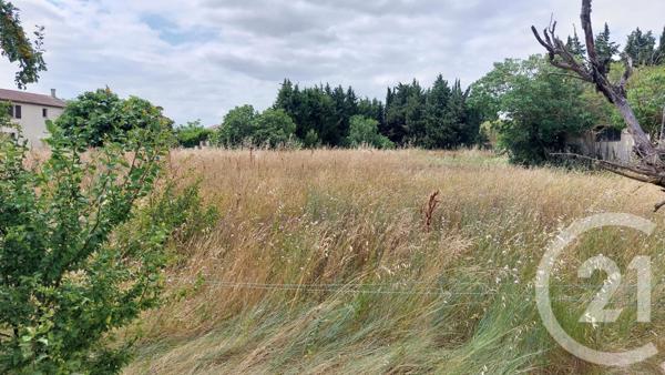 Terrain à vendre  631 m2 MALVIES - 11