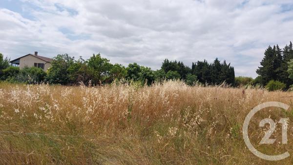 Terrain à vendre  631 m2 MALVIES - 11