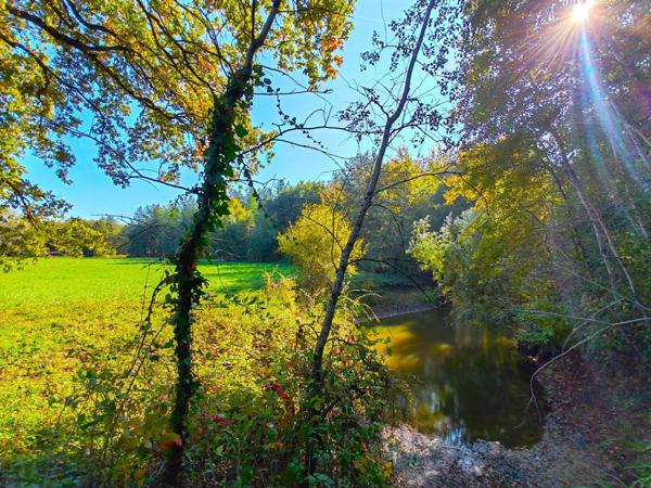 Magnifique terrain de loisirs à découvrir, sur plus d'un 1Ha