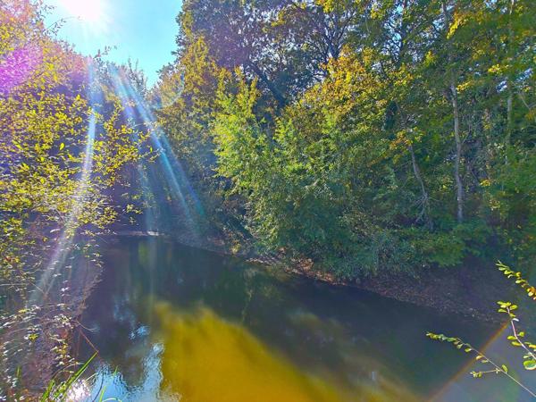 Magnifique terrain de loisirs à découvrir, sur plus d'un 1Ha
