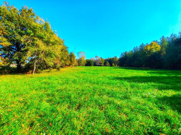 Magnifique terrain de loisirs à découvrir, sur plus d'un 1Ha