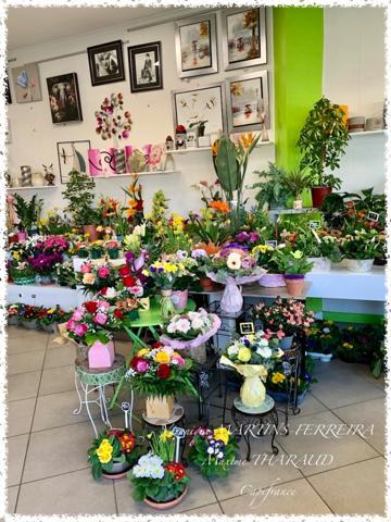 Fonds de commerce à vendre MEHUN SUR YEVRE (18)