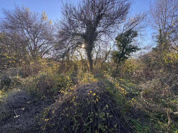 Terrain à bâtir 1200m2 divisible