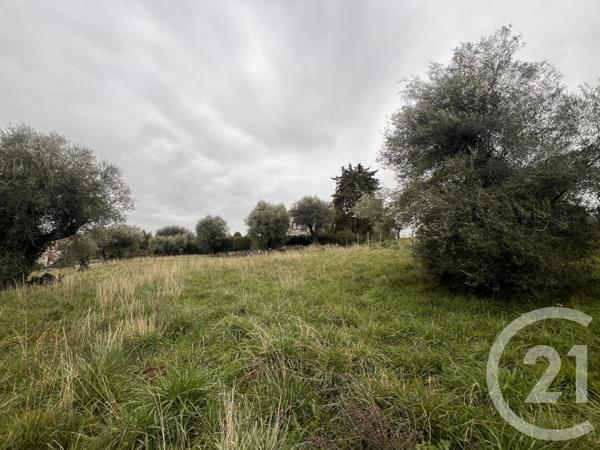 Terrain à vendre  1002 m2 VENCE - 06